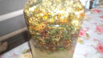 DSC02674 (Medium).JPG