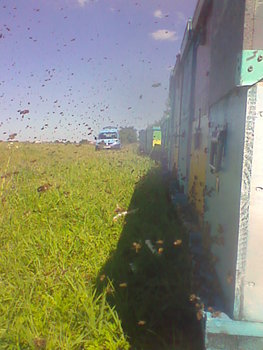 Imag0181.jpg