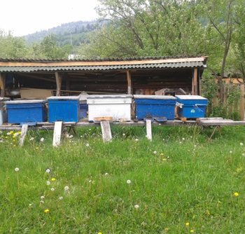 2012-05-15 13.43.37.jpg