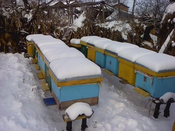 P131212_10.13_[01].jpg