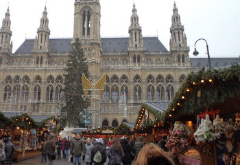 DSC01152.jpg