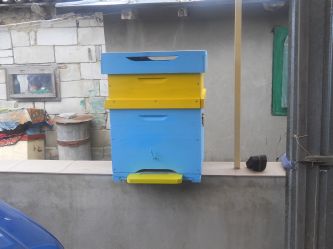 DSCN0725.JPG