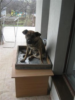 IMG_6193 (Small).jpg