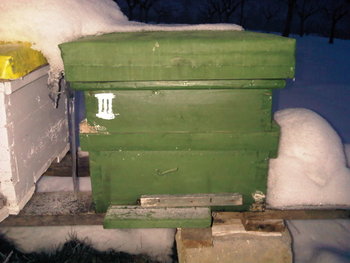 rsz_img00064-20121220-1702.jpg