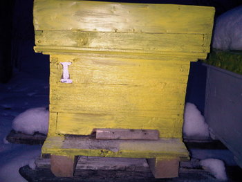 rsz_img00066-20121220-1703.jpg