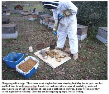 fatbees2-6.jpg