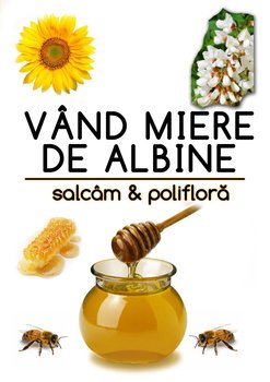 Pliant anunt..jpg