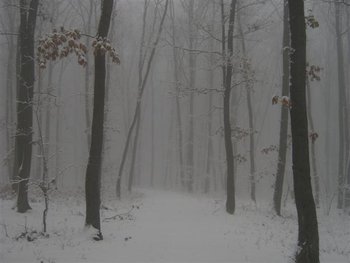 IMG_6219 (Small).jpg