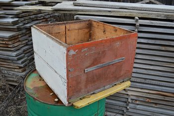 DSC_0038 (Copy).JPG