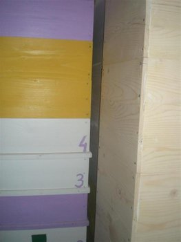 CIMG3127 (Medium).JPG
