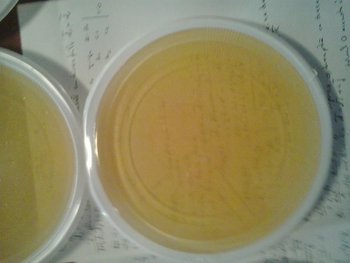 2013-01-13 08.54.18.jpg