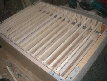 CIMG3162 (Large).JPG