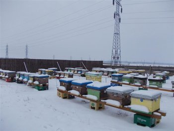 mosu 147 (Medium).jpg