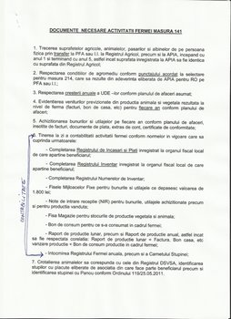 141 2.jpg