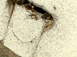 20130131_131830.jpg