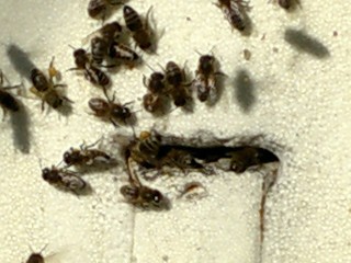 20130131_131952.jpg