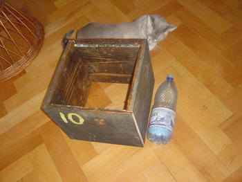 rsz_dsc03666.jpg