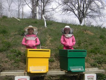 DSCN8283 (Medium).JPG