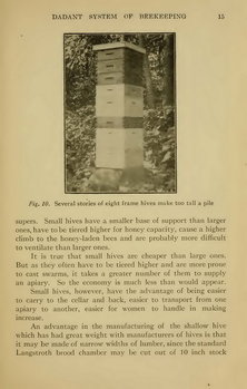 Dadant system of beekeeping - C.Dadant 1920p15.jpg