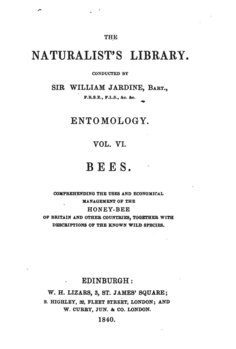 Entomology of Bees - W.Jardine 1840_Ed.VI p1.jpg