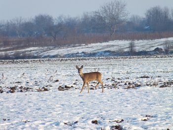 DSCF4341.JPG
