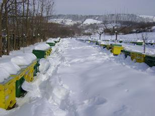 DSC04704.JPG