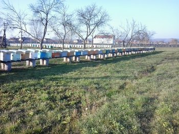 2012_11_18_15_03_13.jpg