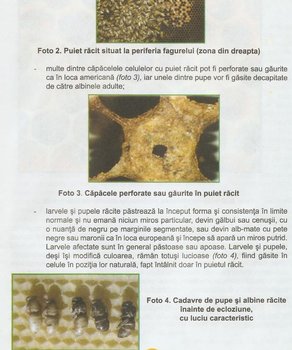 poza2.JPG