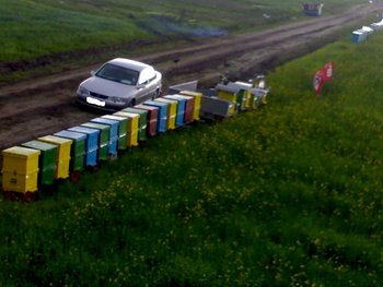 260420121383[1].jpg