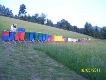 100_6312.jpg