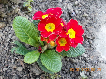 rsz_1picture_098.jpg