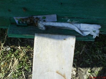 DSC08381.JPG