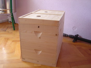 rsz_dsc03688.jpg