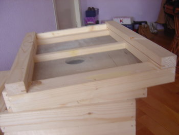 rsz_dsc03696.jpg