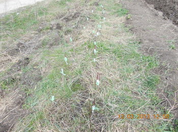 rsz_3picture_001.jpg