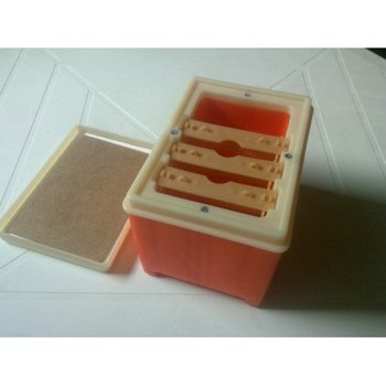 nucleuimperechereplastic4-500x500.jpg