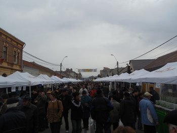 DSCN0791.jpg