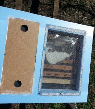 2013-03-23 10.49.15.jpg