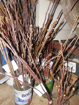 DSCN0873.jpg