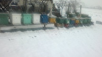 2013-03-26-218.jpg