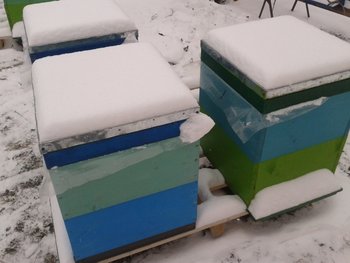 2013-03-26 11.03.20.jpg