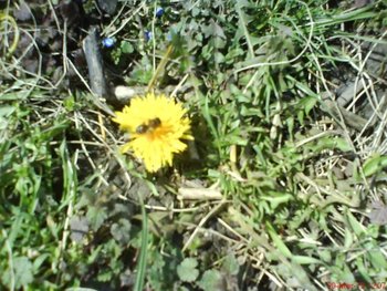 DSC08487.JPG