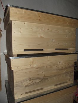 DSCF0480.jpg