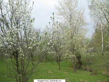 ok_104136.jpg