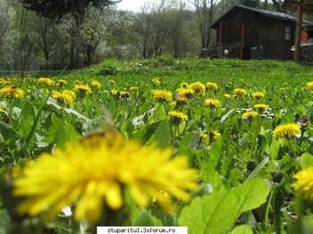 ok_104138.jpg