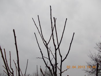 rsz_2picture_011.jpg