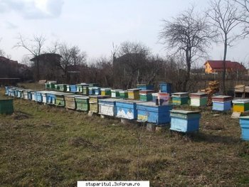 ok_48132.jpg