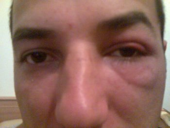 Imag096.jpg