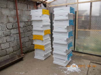 rsz_1picture_008.jpg
