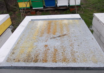 rsz_1picture_004.jpg